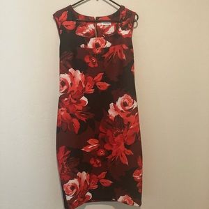 Size 12 red Calvin Klein sheath dress in Sleeveless.Excellent condition.